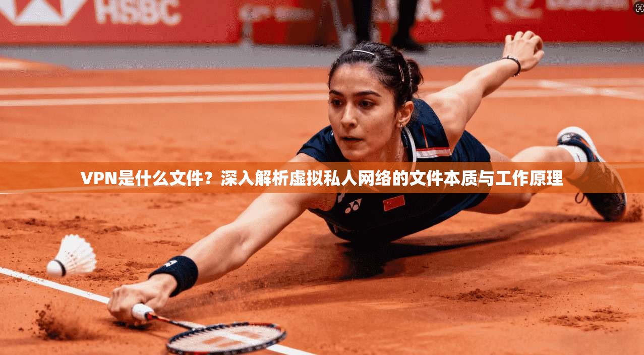 VPN是什么文件？深入解析虚拟私人网络的文件本质与工作原理