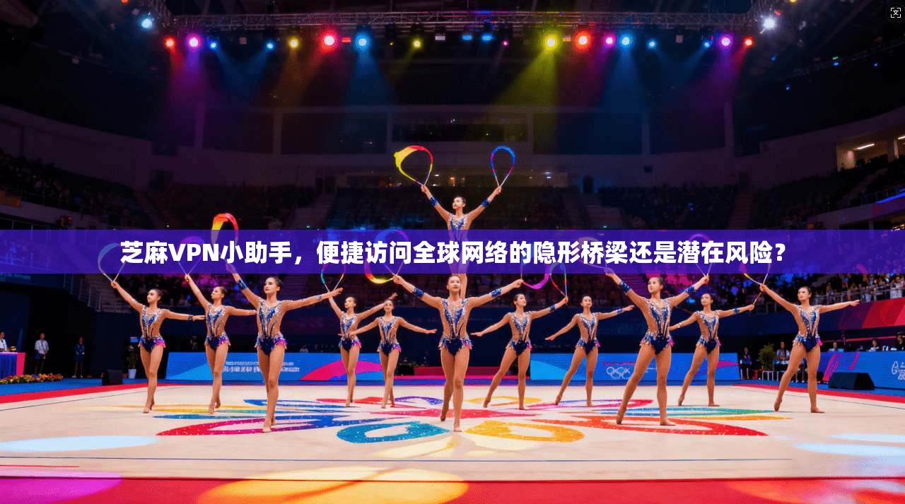 芝麻VPN小助手，便捷访问全球网络的隐形桥梁还是潜在风险？
