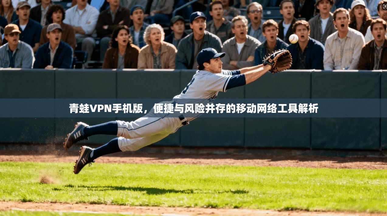 青蛙VPN手机版，便捷与风险并存的移动网络工具解析