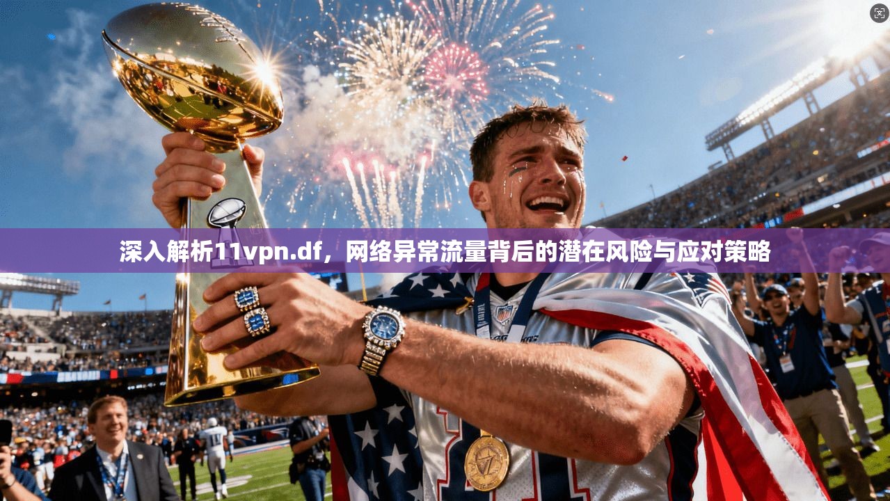 深入解析11vpn.df，网络异常流量背后的潜在风险与应对策略