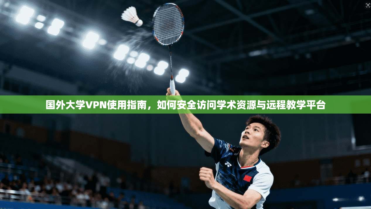 国外大学VPN使用指南，如何安全访问学术资源与远程教学平台
