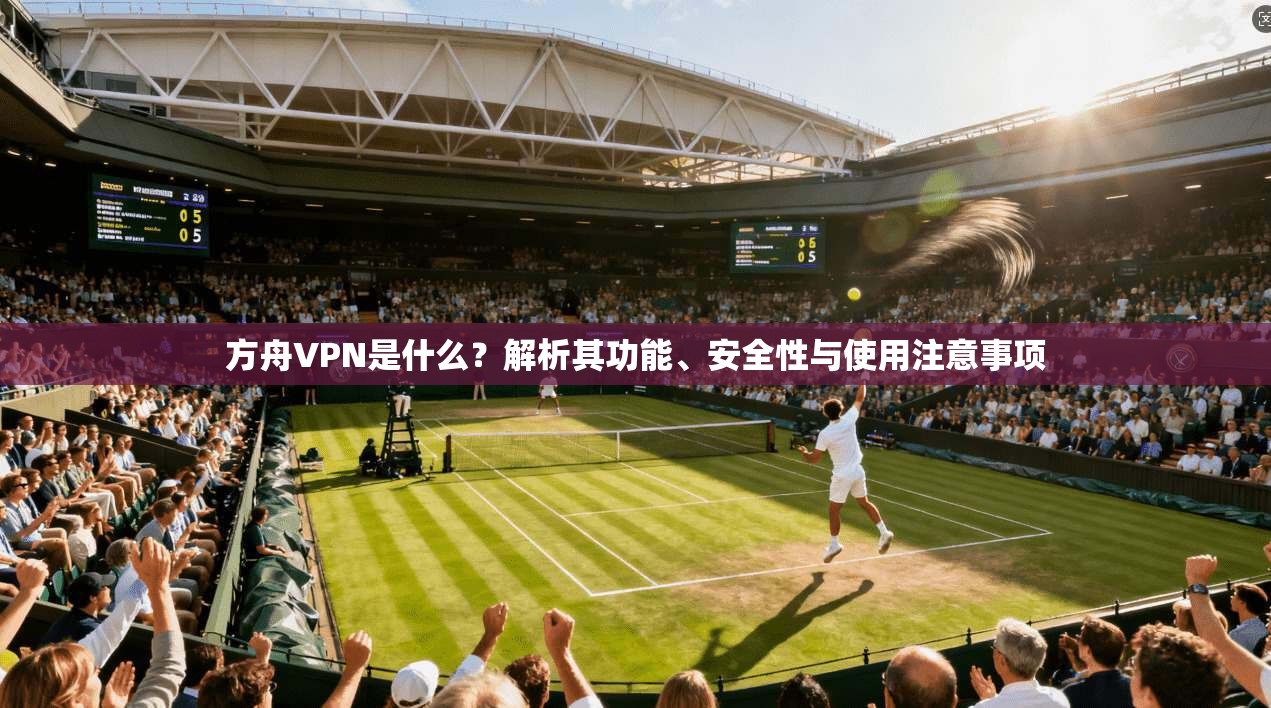 方舟VPN是什么？解析其功能、安全性与使用注意事项