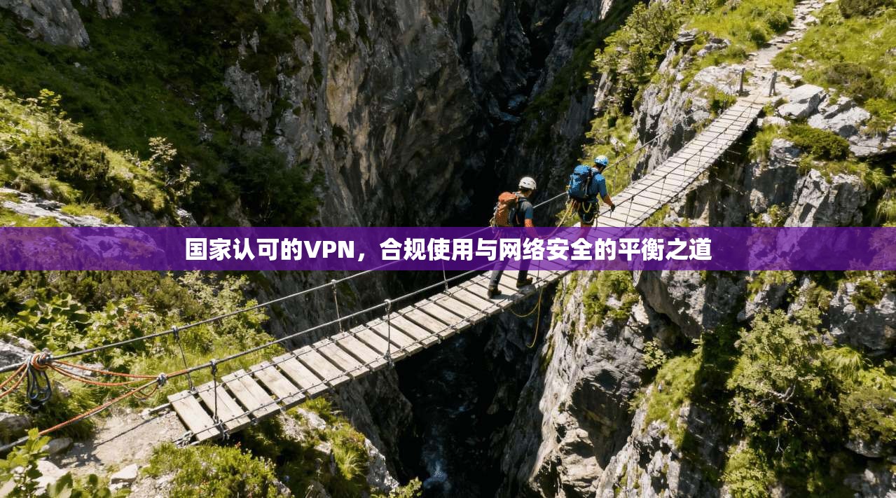 国家认可的VPN，合规使用与网络安全的平衡之道