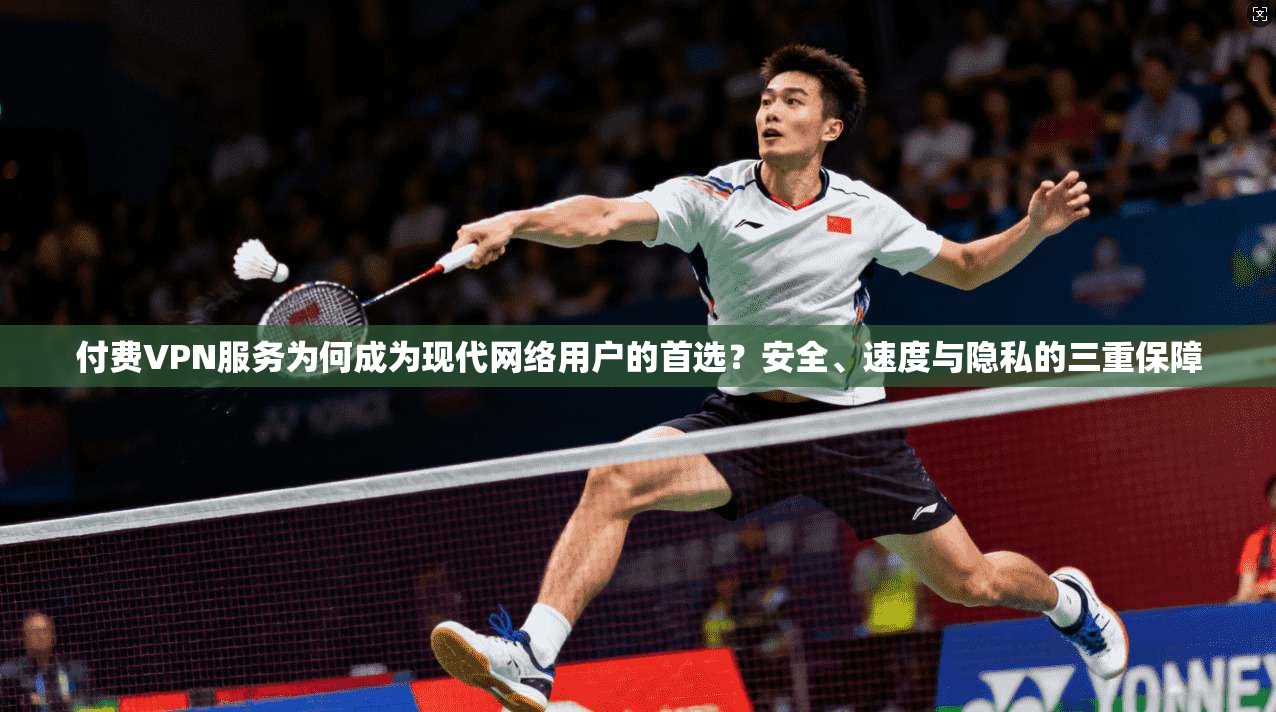 付费VPN服务为何成为现代网络用户的首选？安全、速度与隐私的三重保障