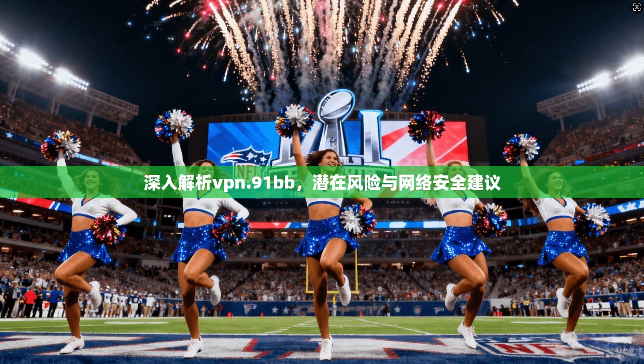 深入解析vpn.91bb，潜在风险与网络安全建议
