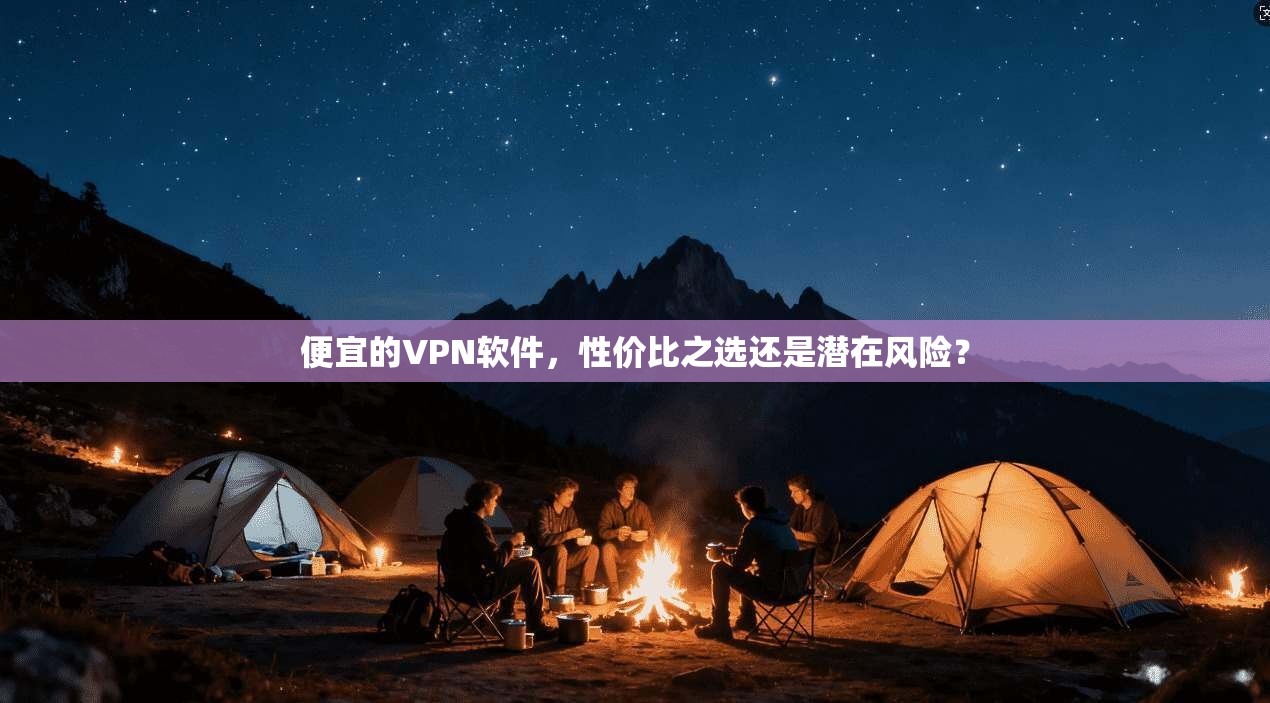 便宜的VPN软件，性价比之选还是潜在风险？