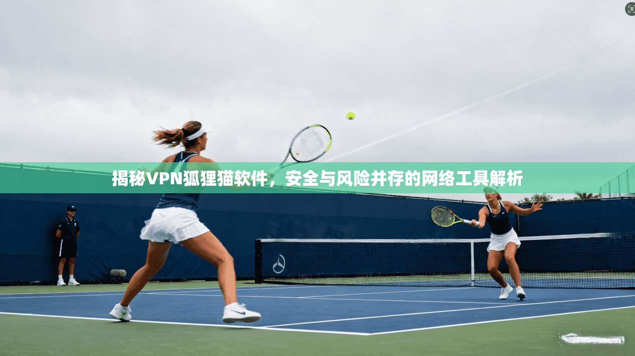 揭秘VPN狐狸猫软件，安全与风险并存的网络工具解析