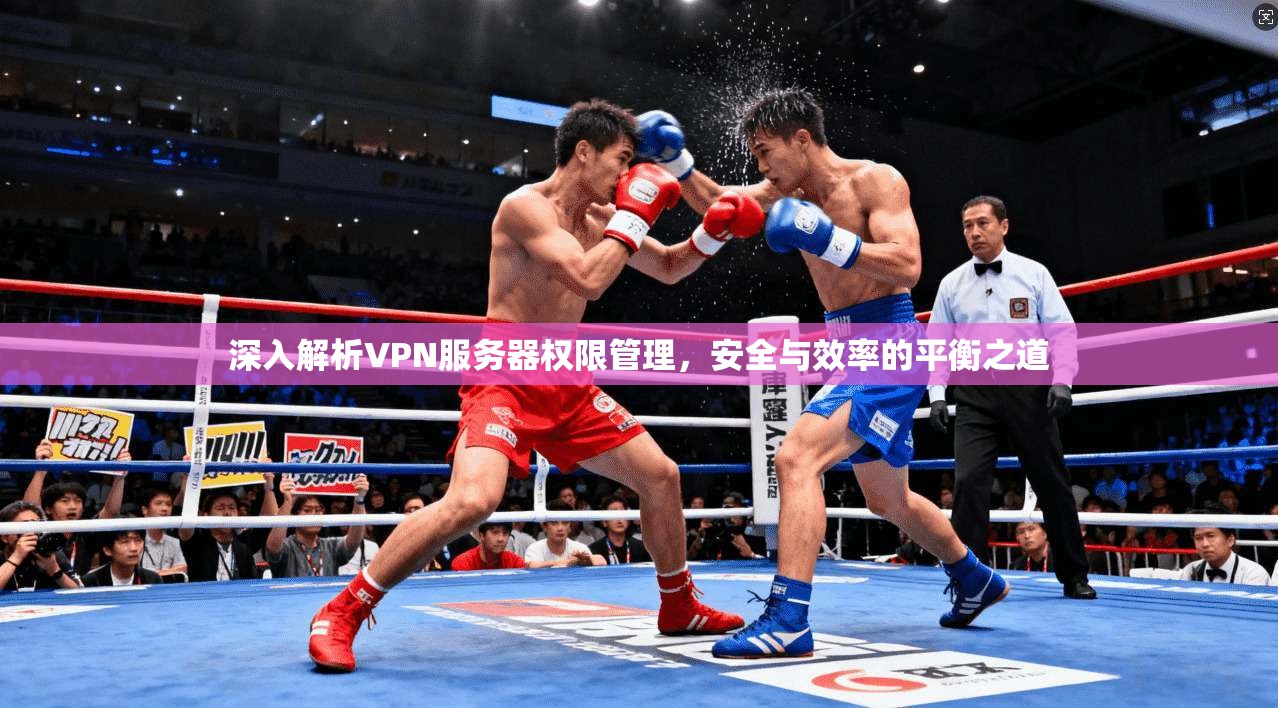 深入解析VPN服务器权限管理，安全与效率的平衡之道