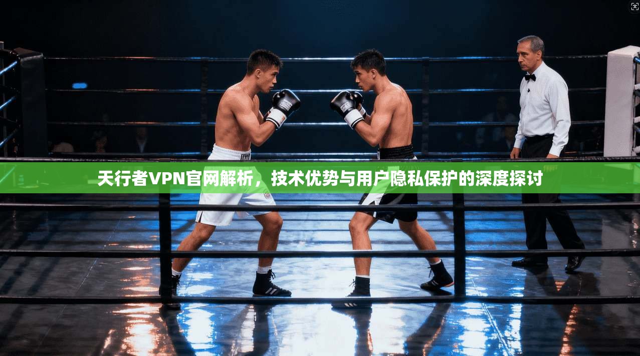 天行者VPN官网解析，技术优势与用户隐私保护的深度探讨