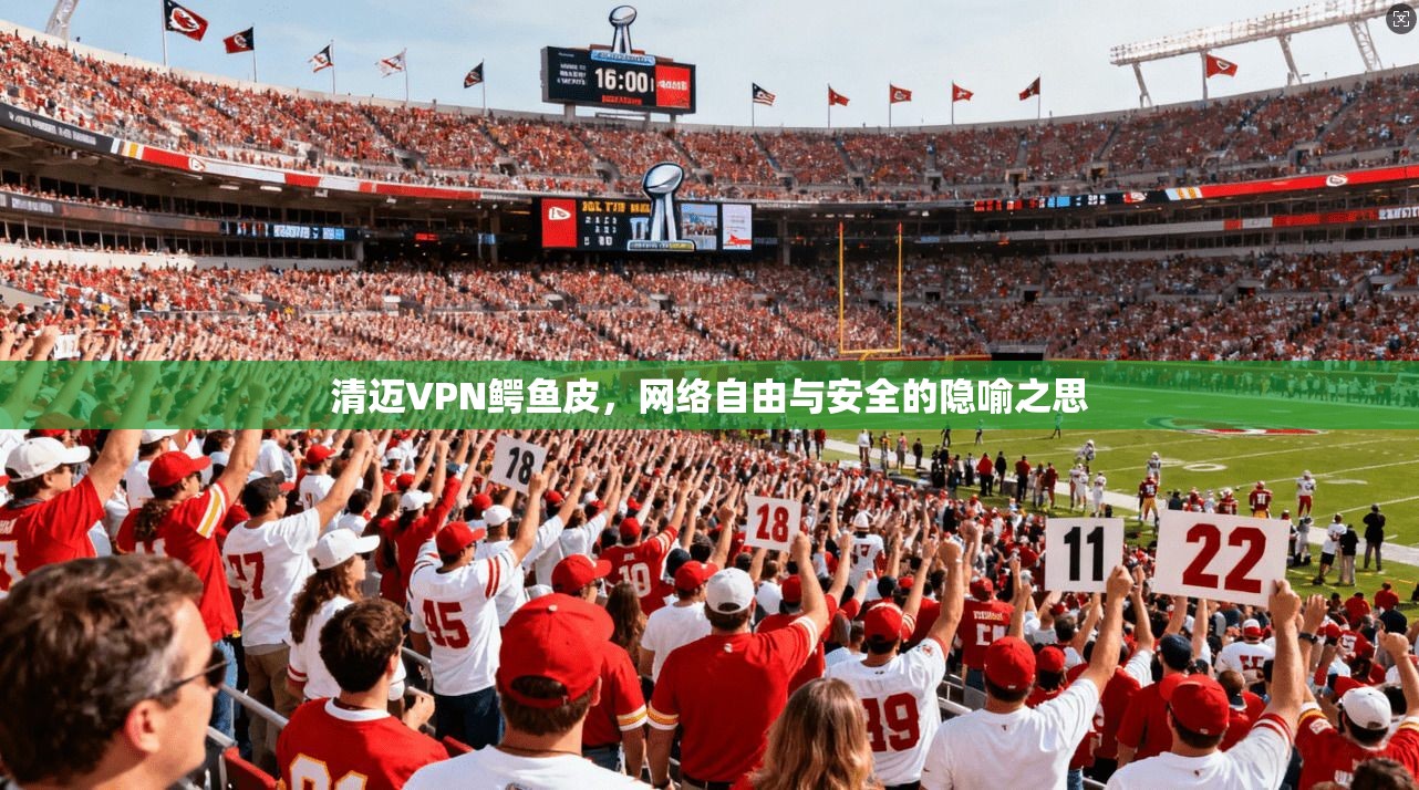 清迈VPN鳄鱼皮，网络自由与安全的隐喻之思