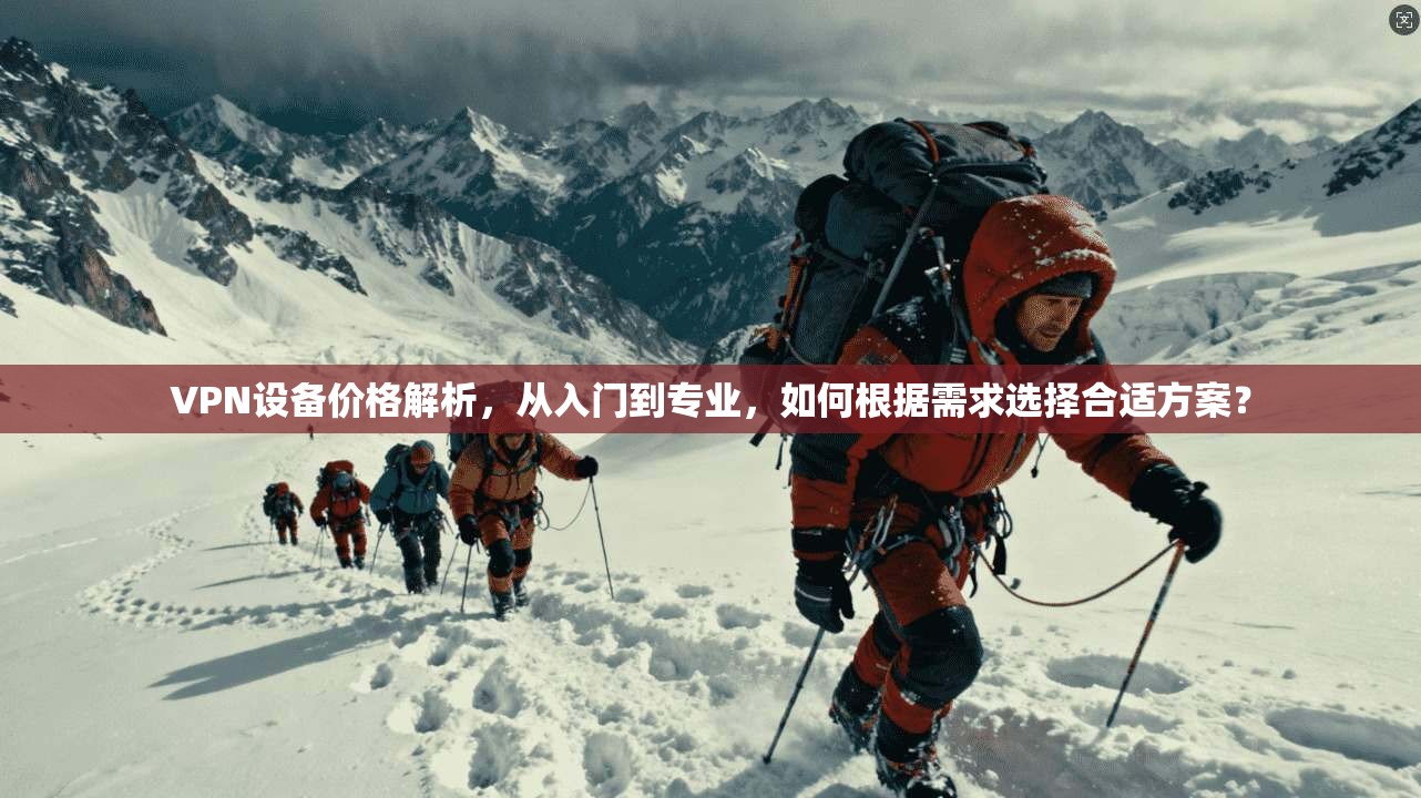 VPN设备价格解析，从入门到专业，如何根据需求选择合适方案？
