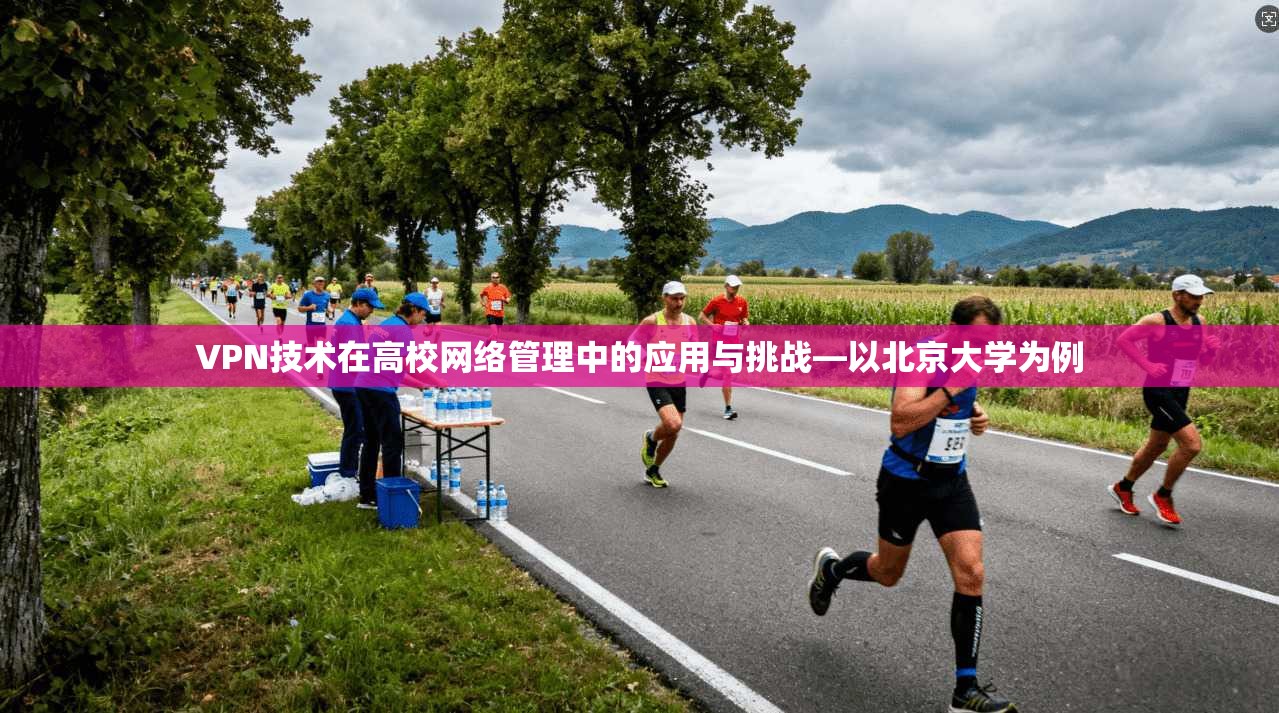 VPN技术在高校网络管理中的应用与挑战—以北京大学为例 VPN技术在高校网络管理中的应用与挑战—以北京大学为例