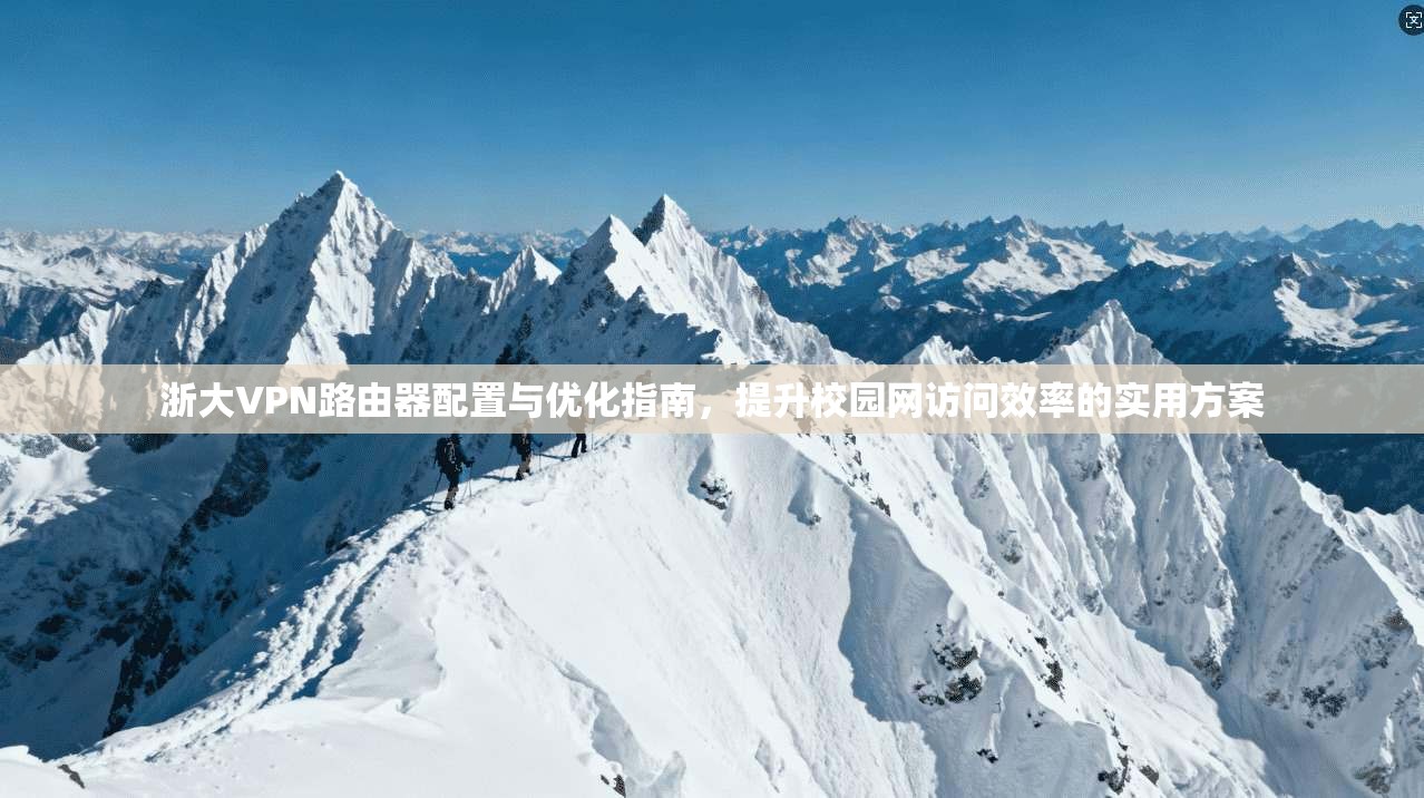 浙大VPN路由器配置与优化指南，提升校园网访问效率的实用方案