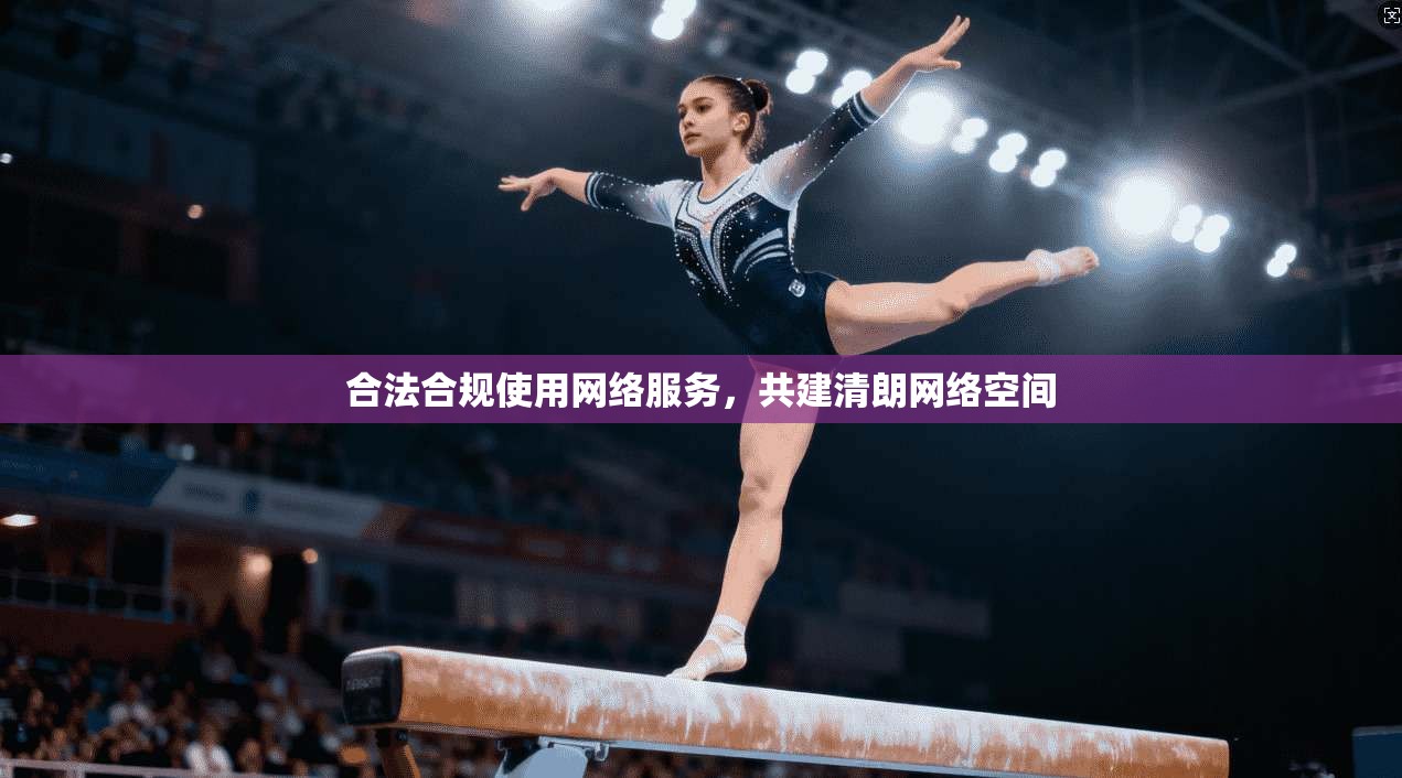 合法合规使用网络服务，共建清朗网络空间