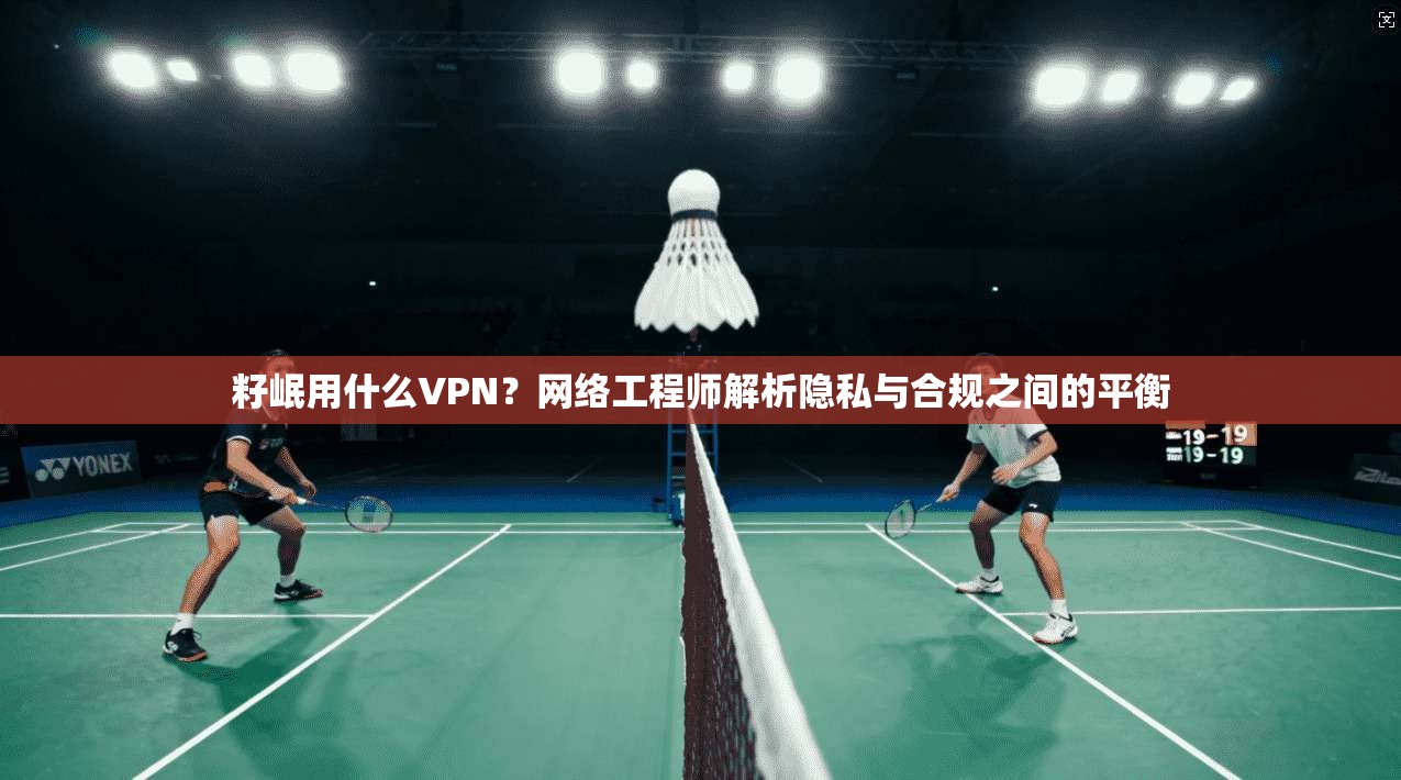 籽岷用什么VPN？网络工程师解析隐私与合规之间的平衡