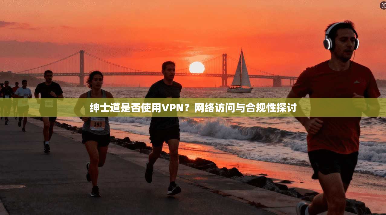 绅士道是否使用VPN？网络访问与合规性探讨