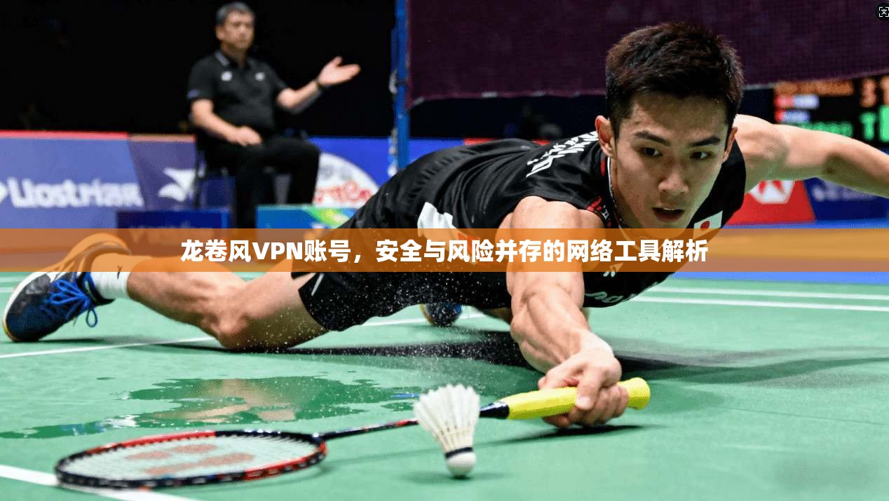 龙卷风VPN账号，安全与风险并存的网络工具解析