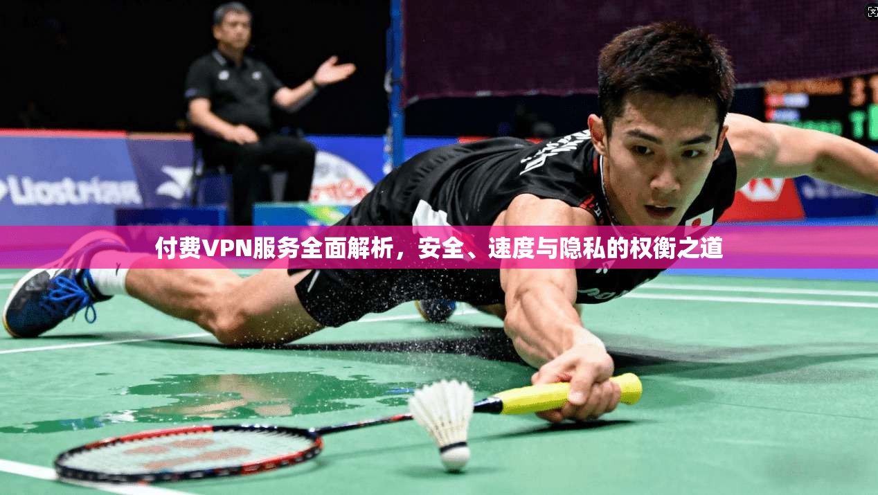 付费VPN服务全面解析，安全、速度与隐私的权衡之道
