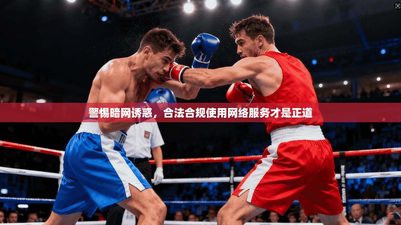 警惕暗网诱惑，合法合规使用网络服务才是正道