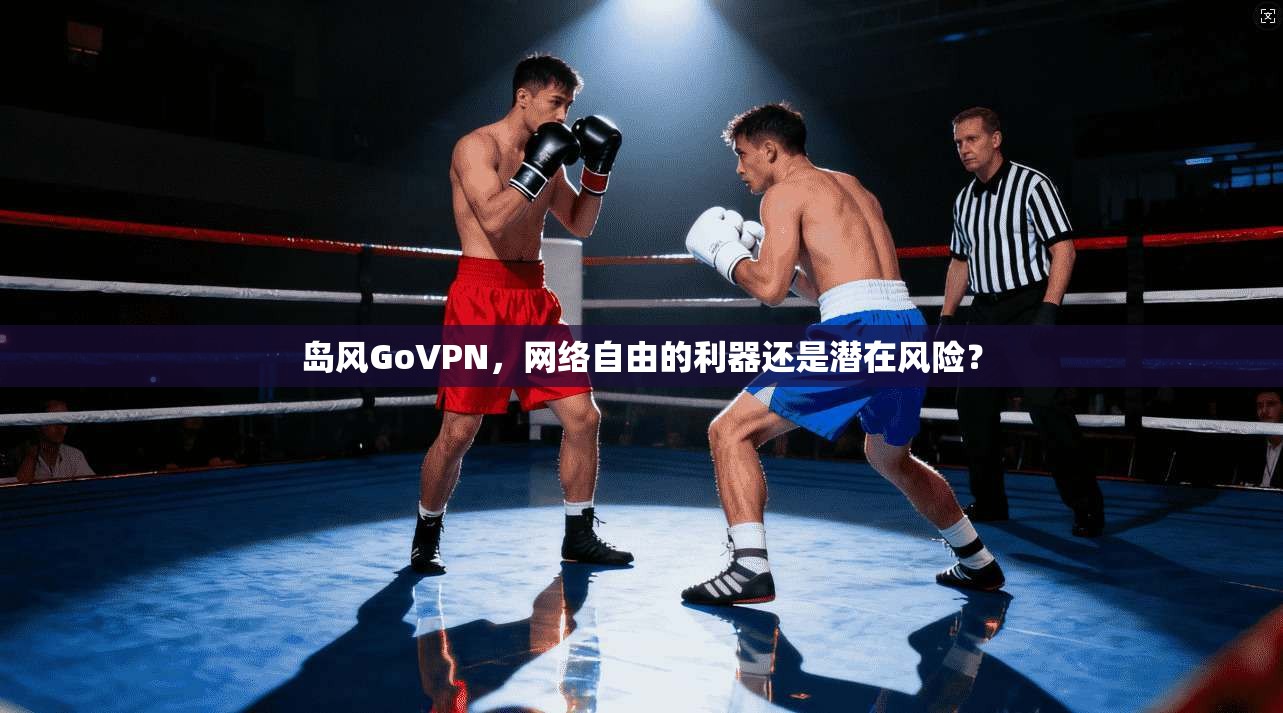 岛风GoVPN，网络自由的利器还是潜在风险？