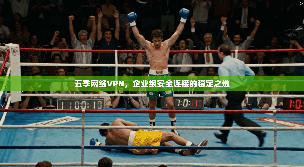 五季网络VPN，企业级安全连接的稳定之选