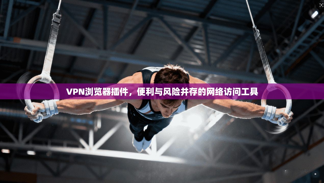 VPN浏览器插件，便利与风险并存的网络访问工具