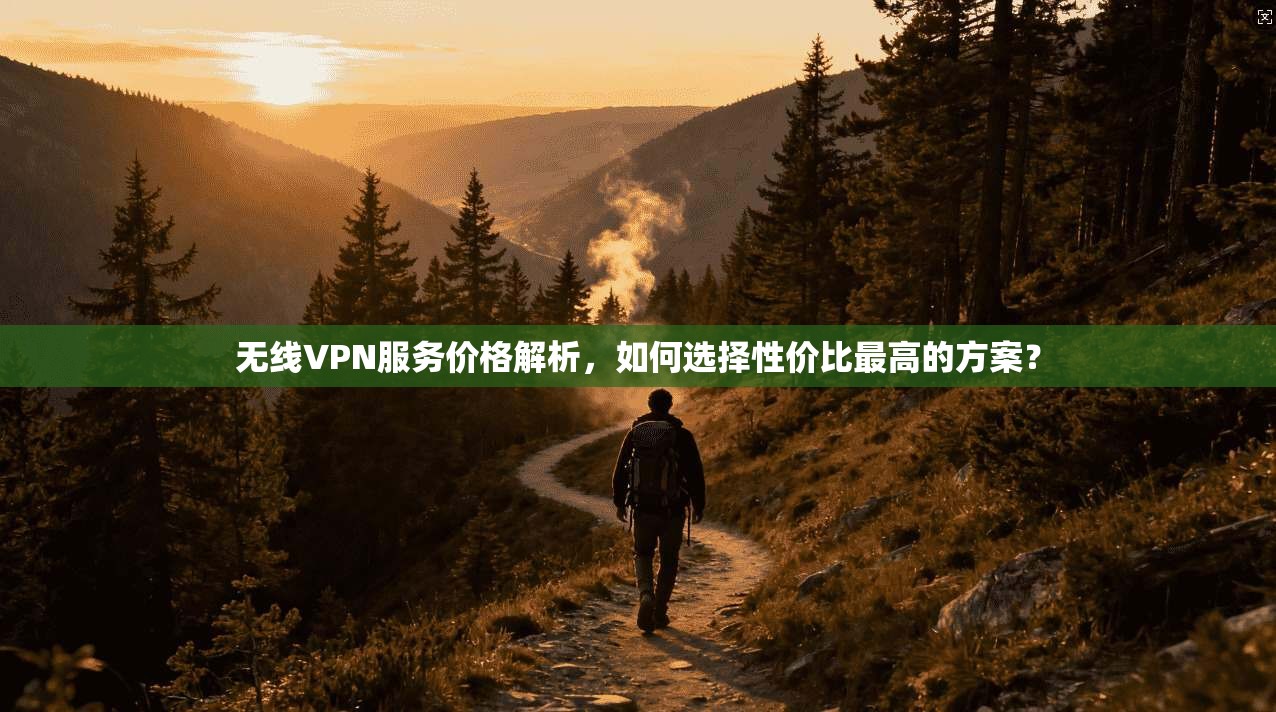 无线VPN服务价格解析，如何选择性价比最高的方案？