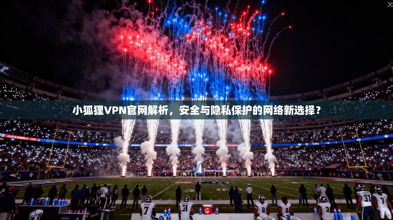小狐狸VPN官网解析，安全与隐私保护的网络新选择？