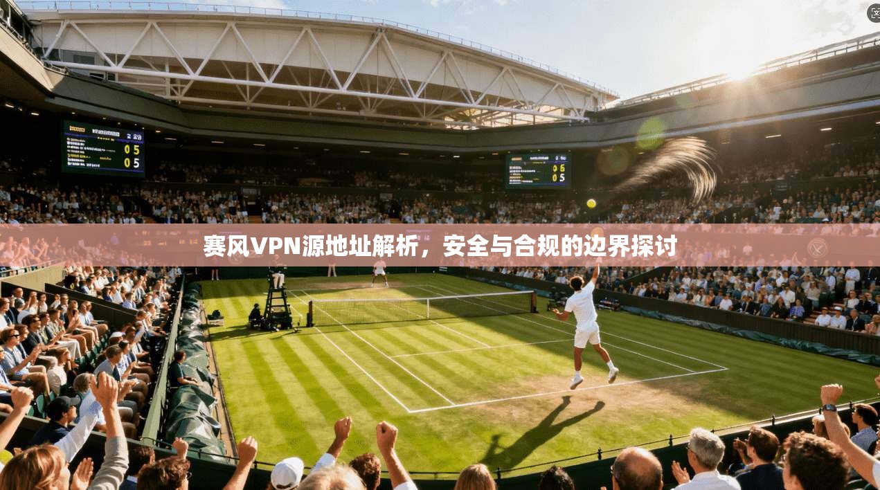 赛风VPN源地址解析，安全与合规的边界探讨