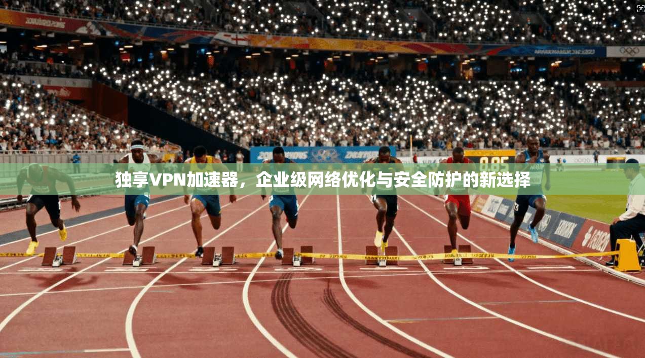 独享VPN加速器，企业级网络优化与安全防护的新选择