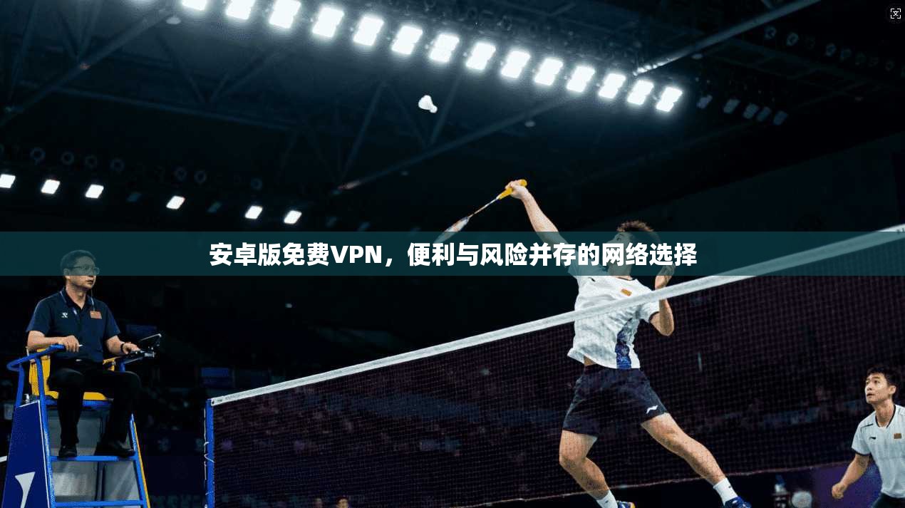 安卓版免费VPN，便利与风险并存的网络选择