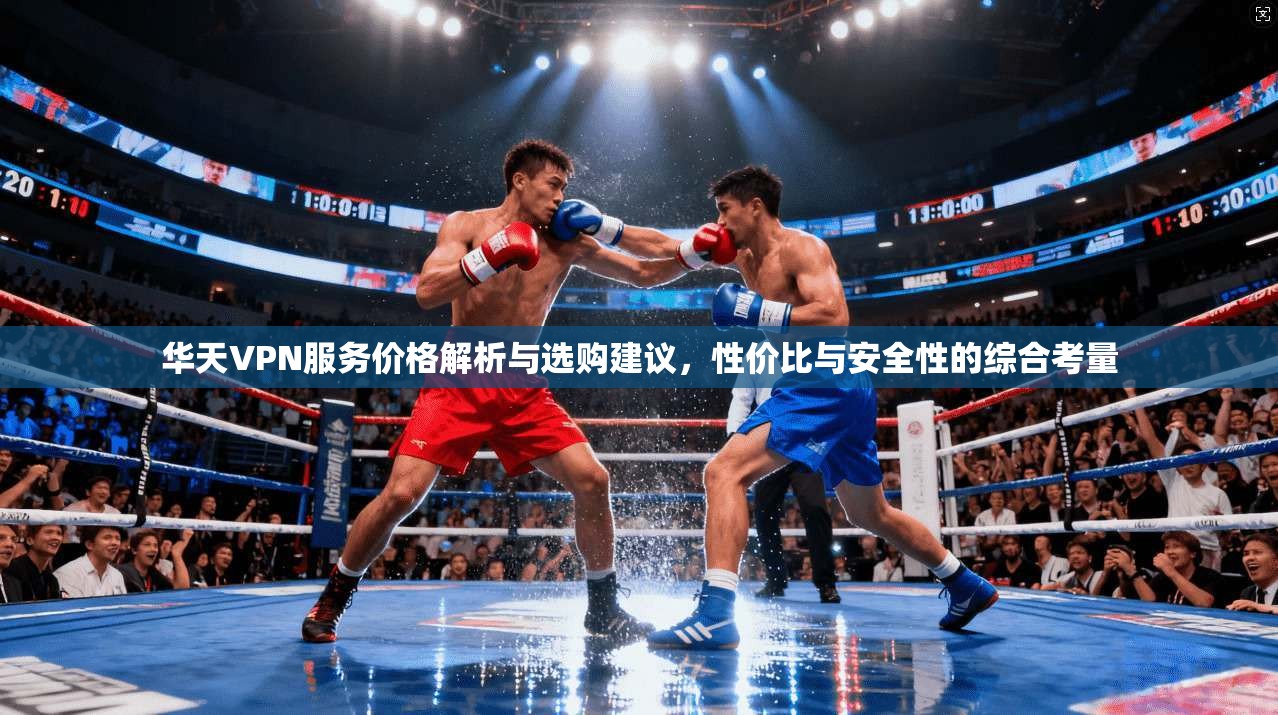 华天VPN服务价格解析与选购建议，性价比与安全性的综合考量