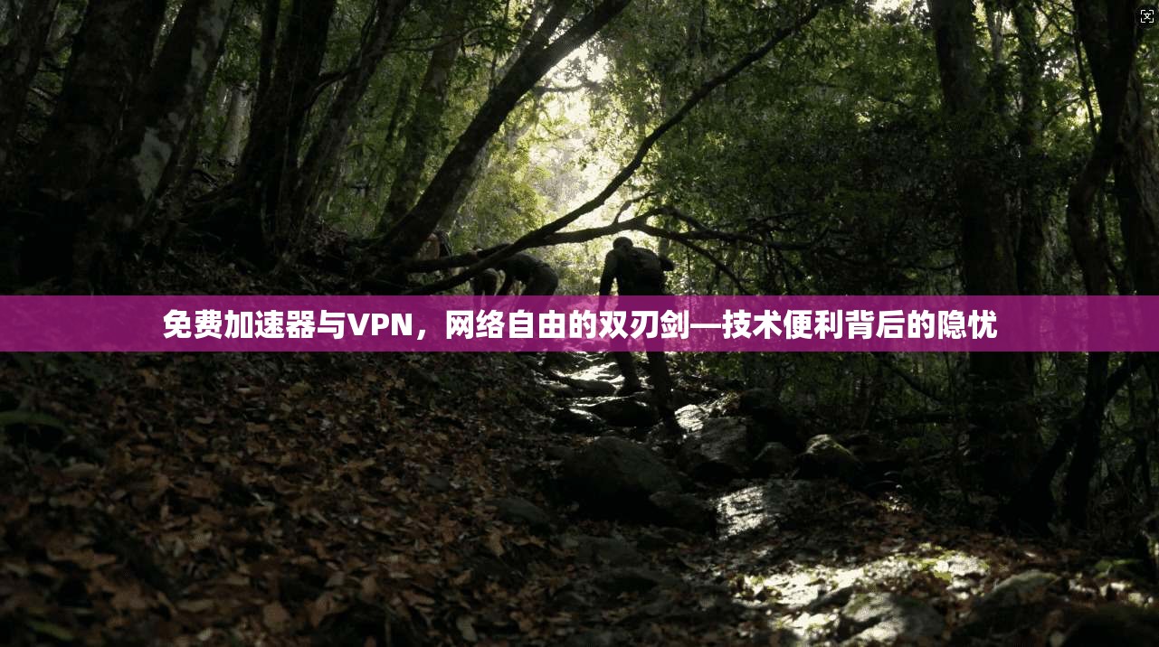免费加速器与VPN，网络自由的双刃剑—技术便利背后的隐忧