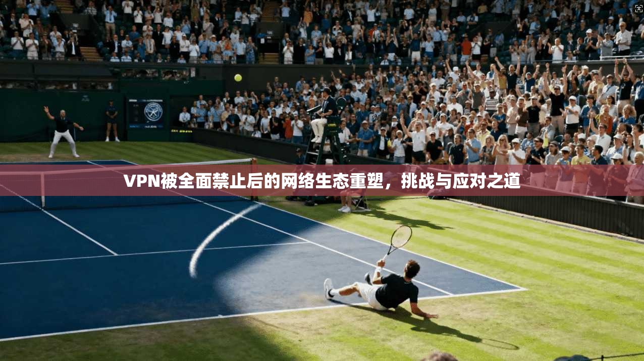 VPN被全面禁止后的网络生态重塑，挑战与应对之道
