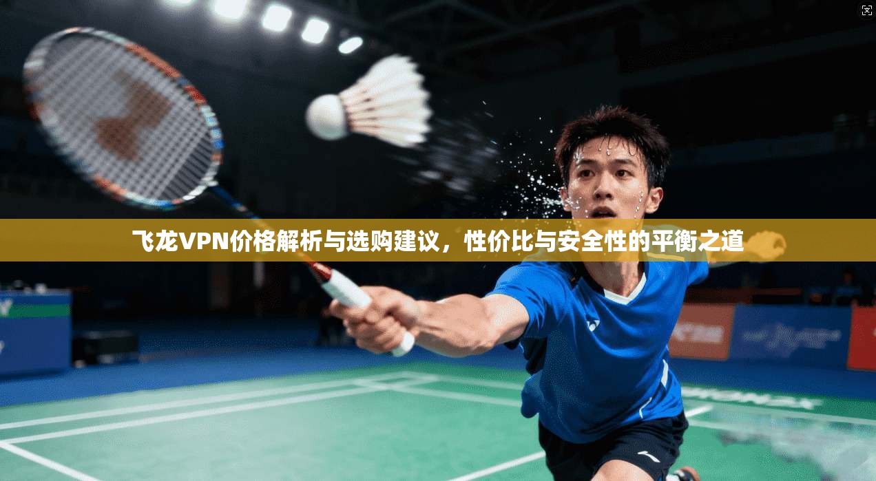 飞龙VPN价格解析与选购建议，性价比与安全性的平衡之道