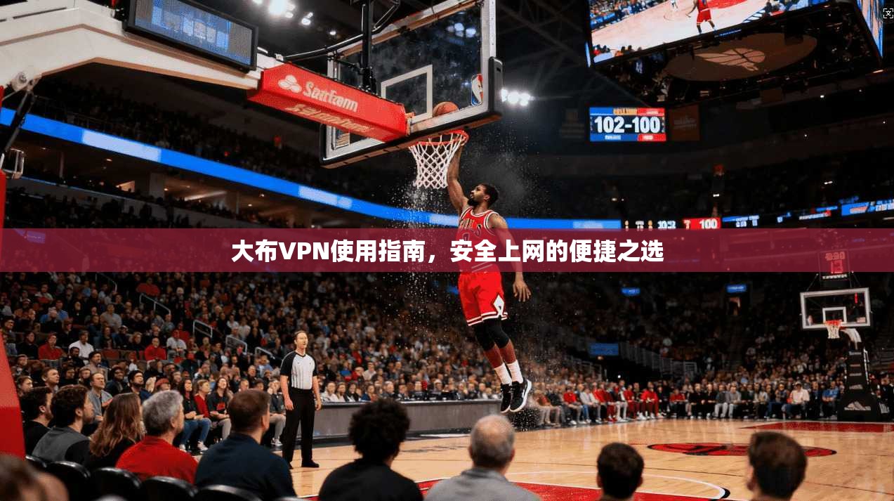 大布VPN使用指南，安全上网的便捷之选