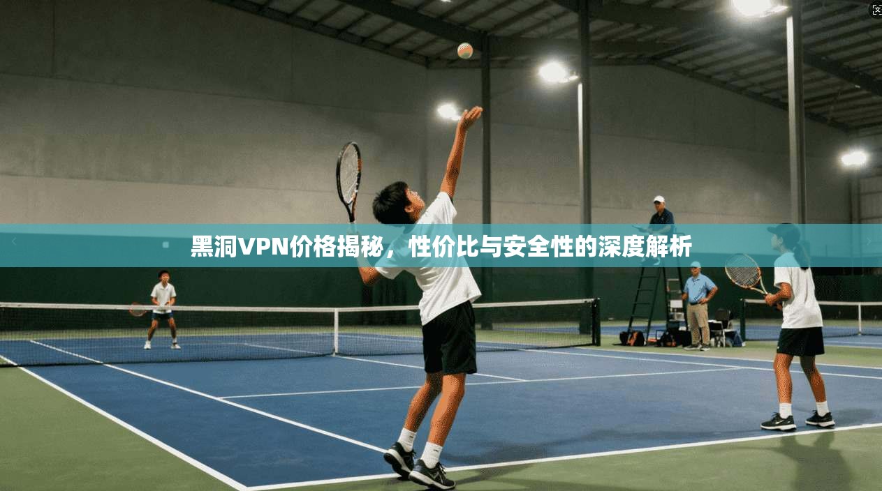 黑洞VPN价格揭秘，性价比与安全性的深度解析