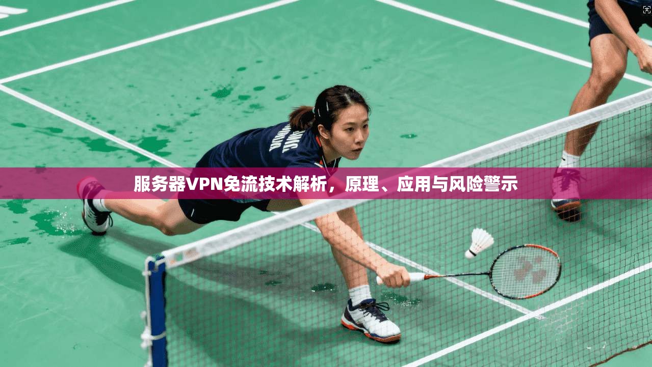 服务器VPN免流技术解析，原理、应用与风险警示