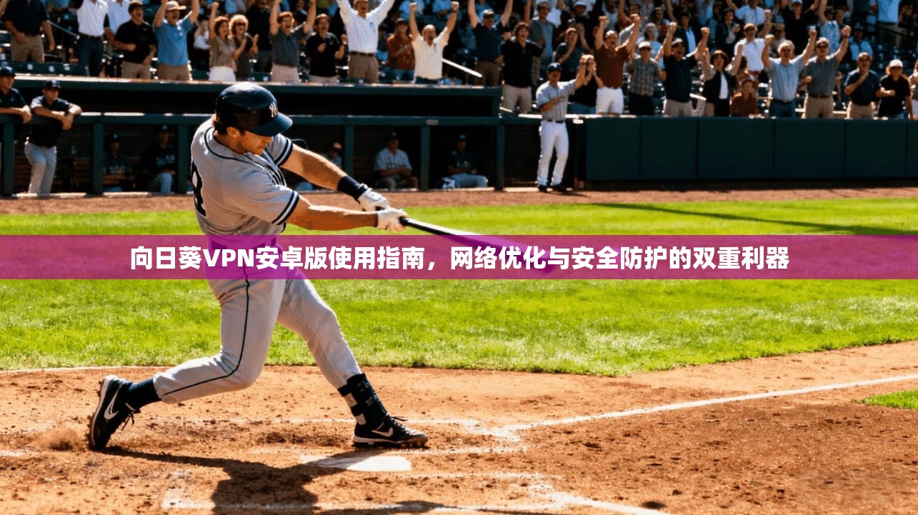 向日葵VPN安卓版使用指南，网络优化与安全防护的双重利器