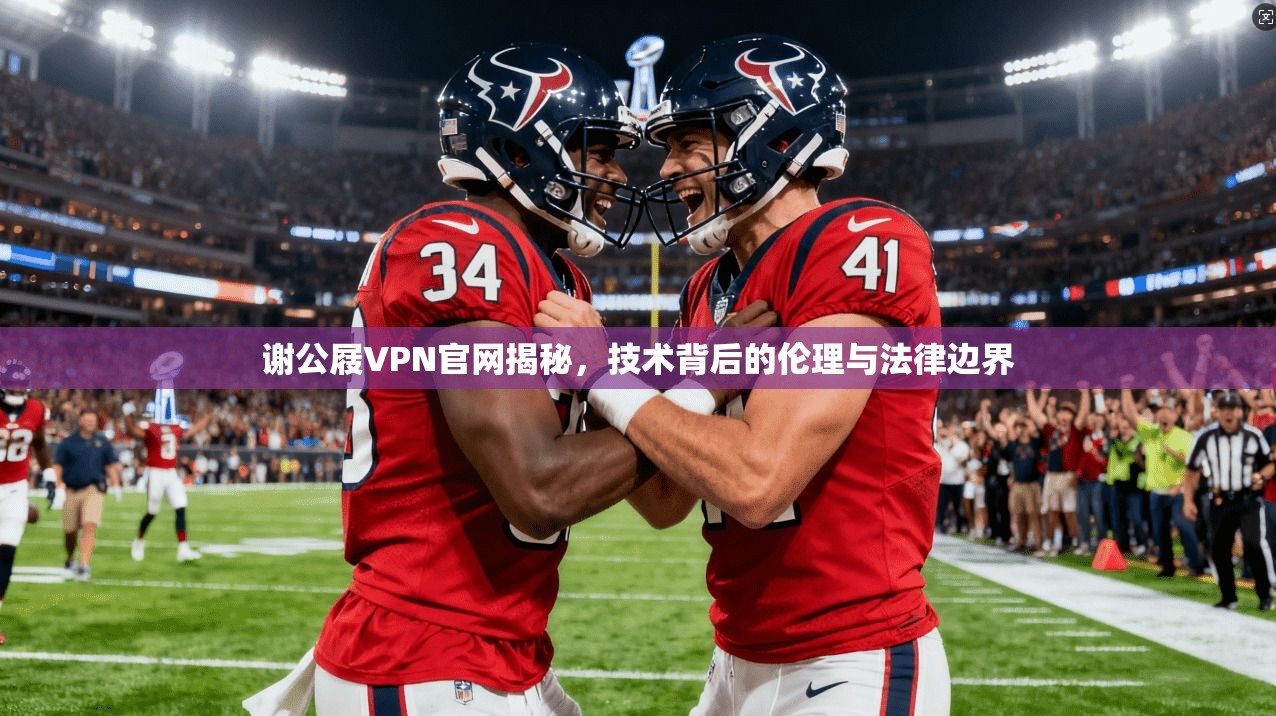 谢公屐VPN官网揭秘，技术背后的伦理与法律边界