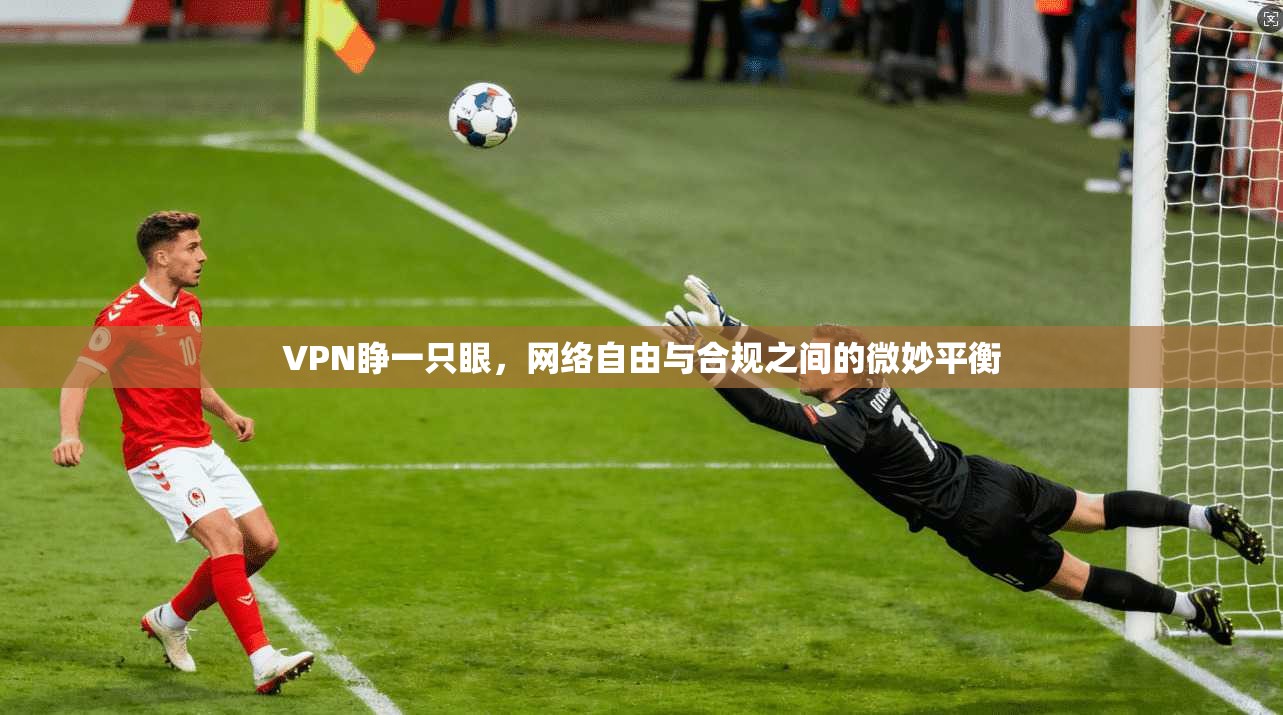 VPN睁一只眼,网络自由与合规之间的微妙平衡 VPN睁一只眼,网络自由与合规之间的微妙平衡