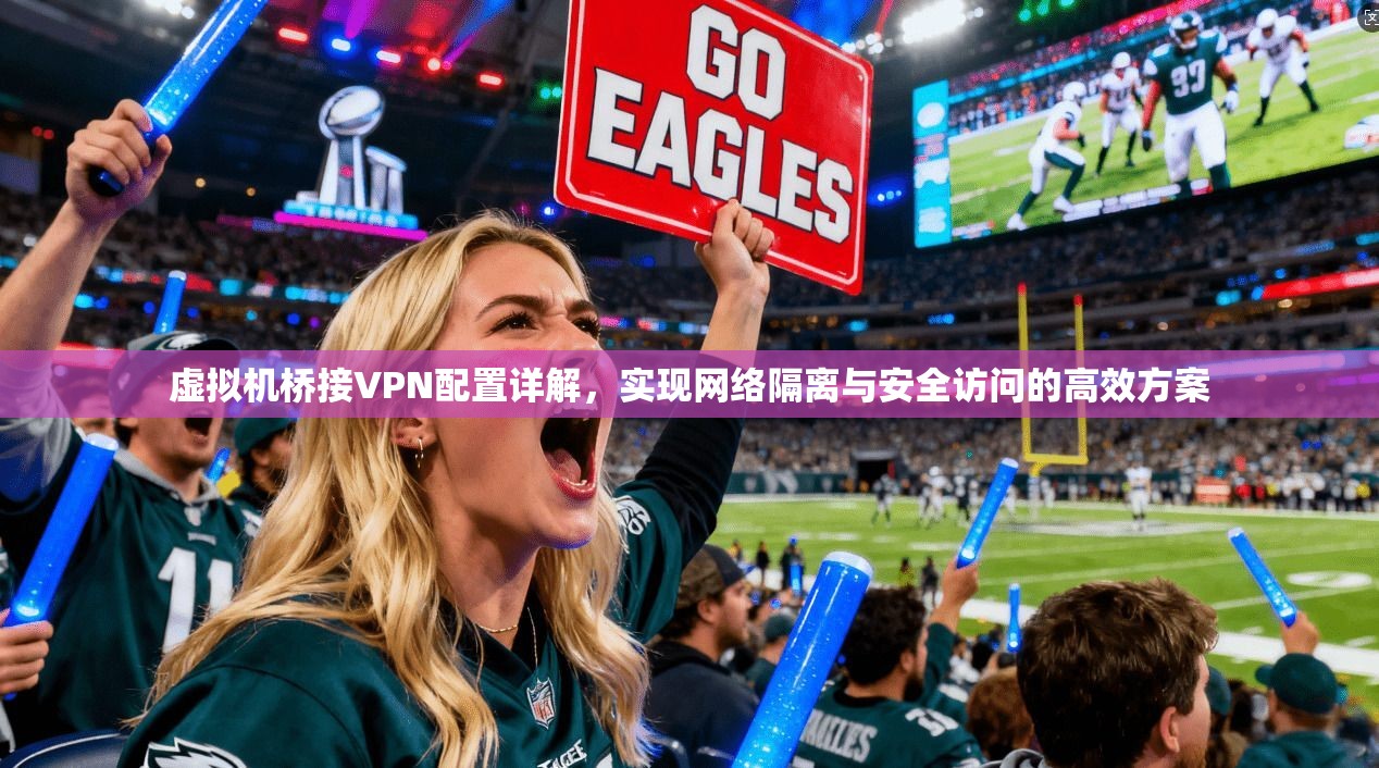 虚拟机桥接VPN配置详解，实现网络隔离与安全访问的高效方案