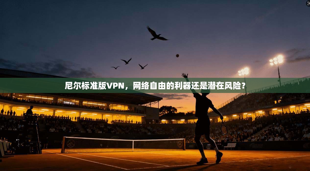 尼尔标准版VPN，网络自由的利器还是潜在风险？