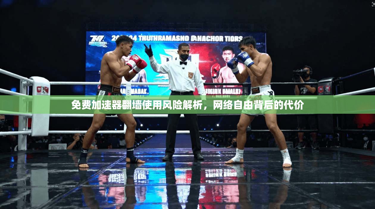 免费加速器翻墙使用风险解析，网络自由背后的代价