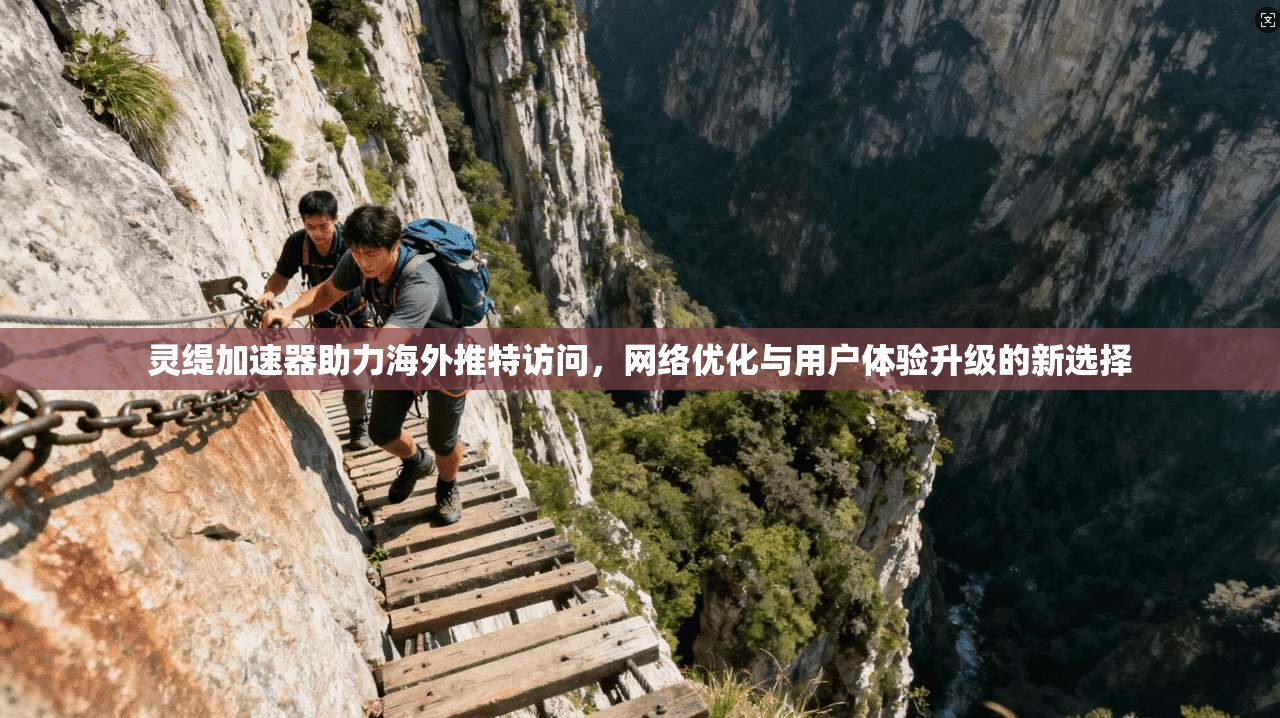 灵缇加速器助力海外推特访问，网络优化与用户体验升级的新选择