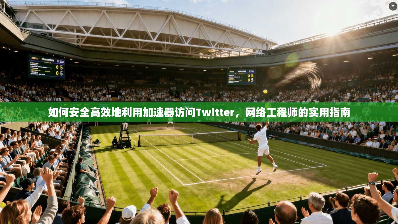 如何安全高效地利用加速器访问Twitter，网络工程师的实用指南