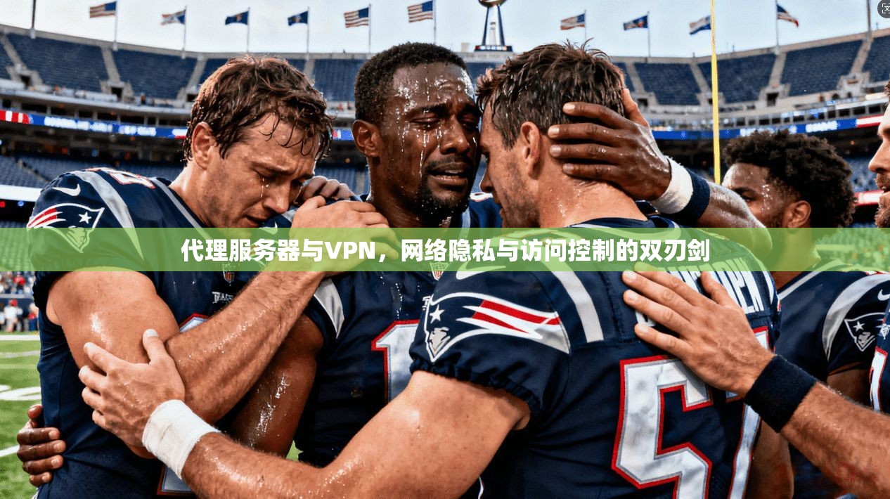 代理服务器与VPN,网络隐私与访问控制的双刃剑 代理服务器与VPN,网络隐私与访问控制的双刃剑