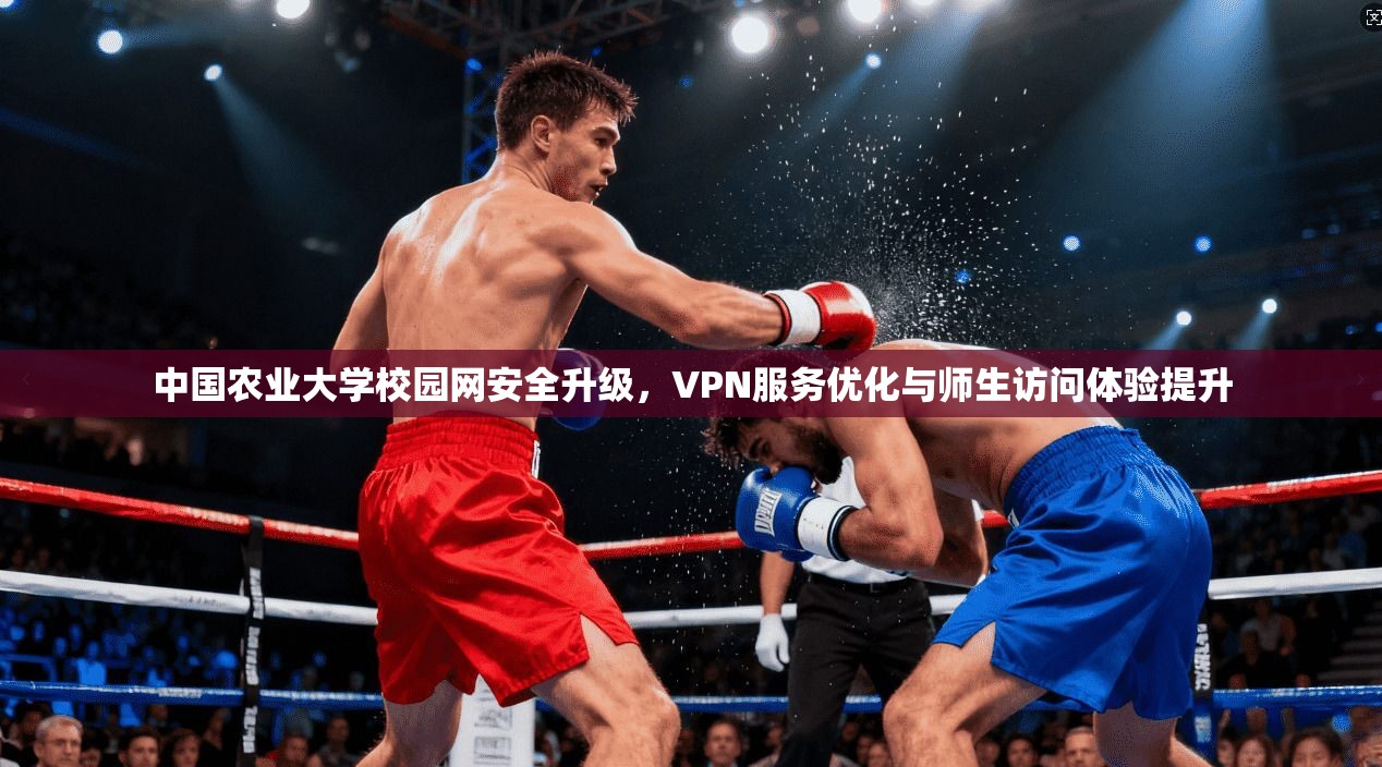 中国农业大学校园网安全升级，VPN服务优化与师生访问体验提升