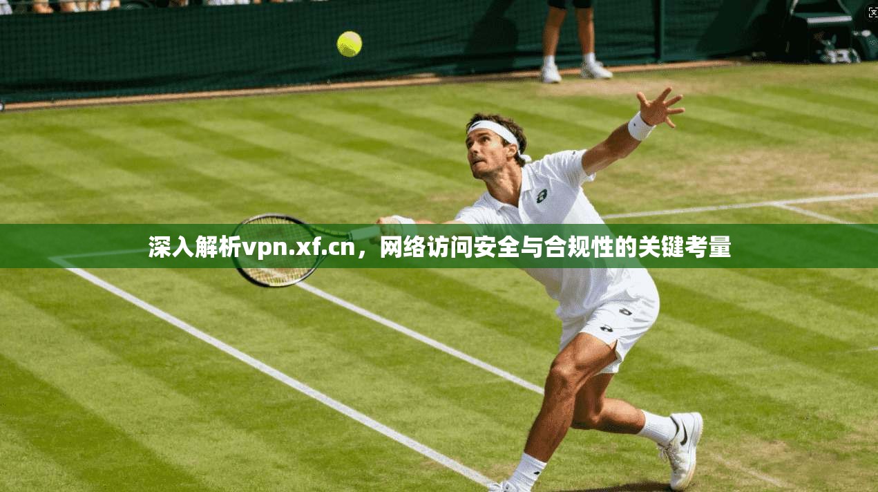 深入解析vpn.xf.cn，网络访问安全与合规性的关键考量