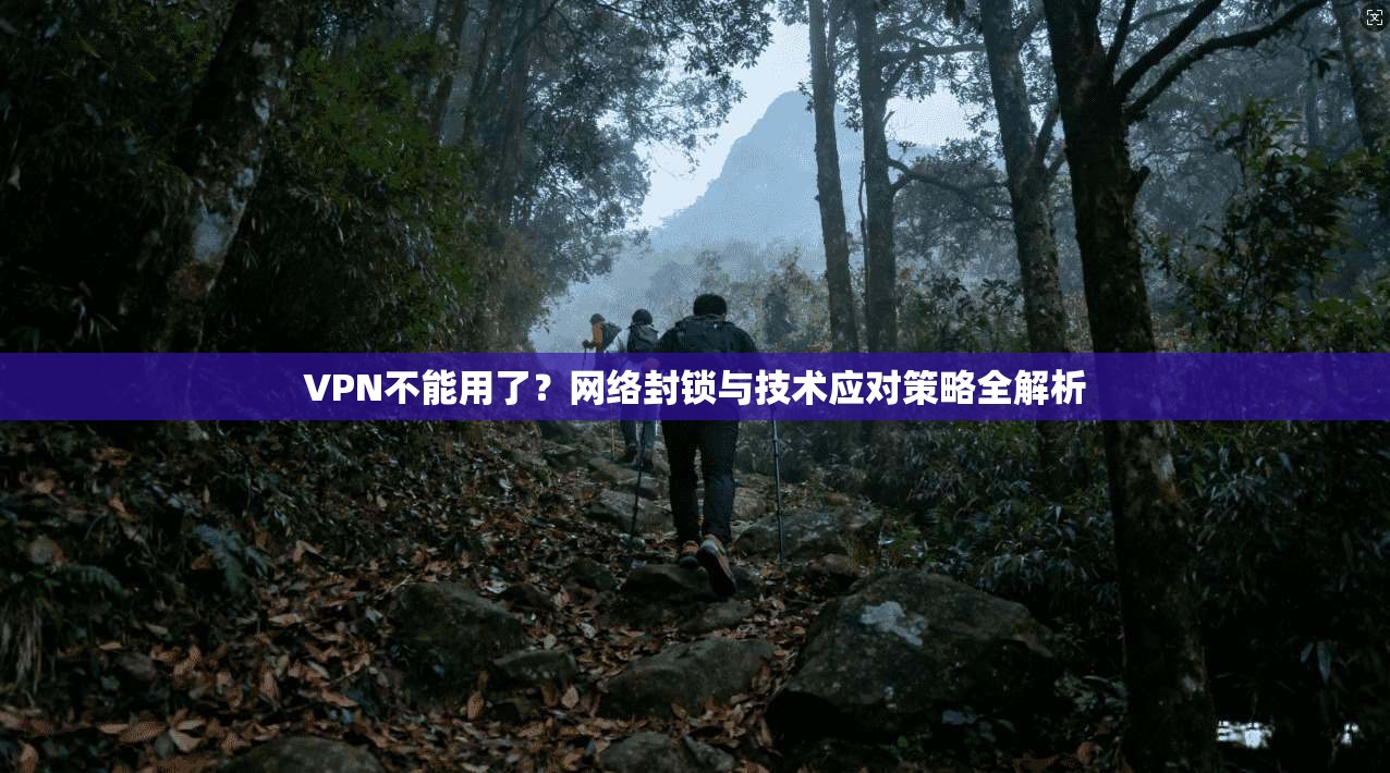 VPN不能用了？网络封锁与技术应对策略全解析